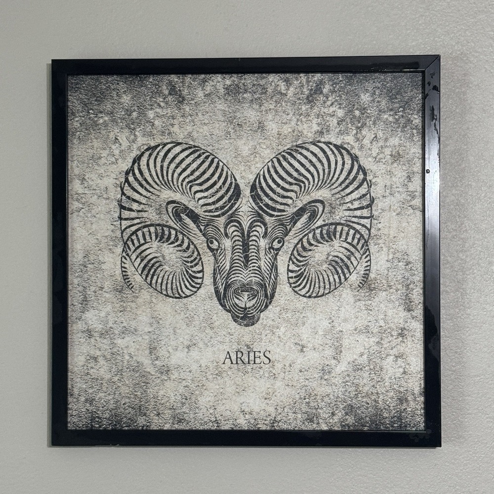 Aries Horoscope Zodiac Wall Art Print Canvas Framed (No Glass) Astrology‎ 20x20"
